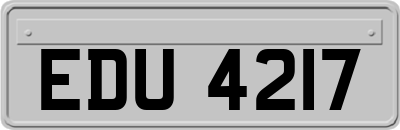 EDU4217