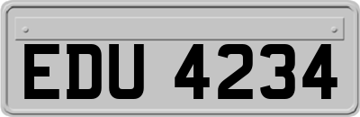 EDU4234
