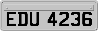 EDU4236