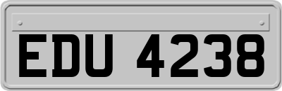 EDU4238