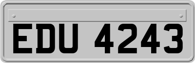 EDU4243