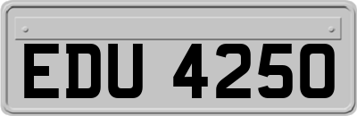 EDU4250