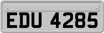 EDU4285