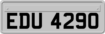 EDU4290