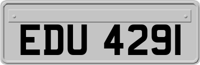EDU4291