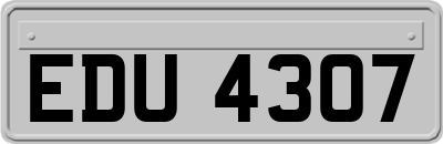 EDU4307