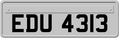EDU4313