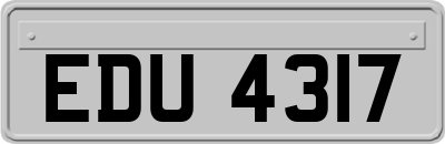 EDU4317
