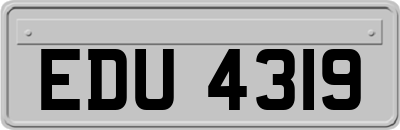 EDU4319