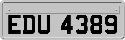EDU4389