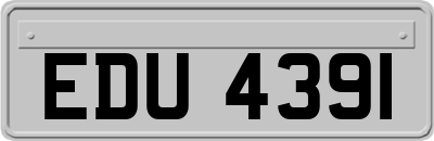 EDU4391
