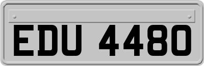 EDU4480