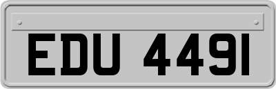 EDU4491