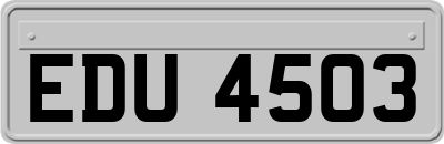 EDU4503