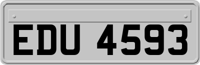 EDU4593