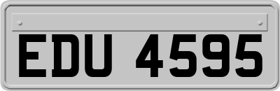EDU4595