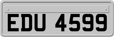 EDU4599