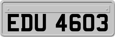 EDU4603
