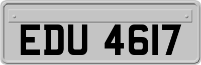 EDU4617