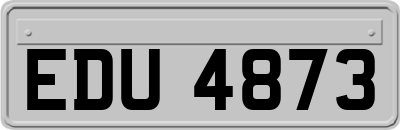 EDU4873
