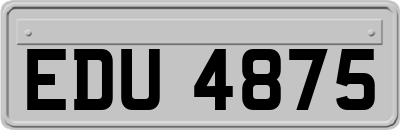 EDU4875