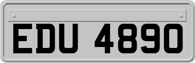 EDU4890