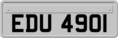 EDU4901