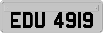 EDU4919