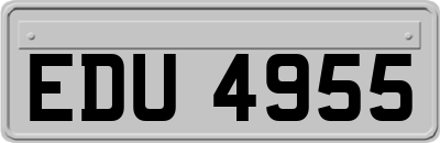 EDU4955
