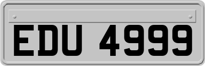 EDU4999