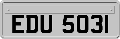 EDU5031