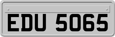 EDU5065