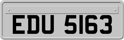 EDU5163