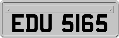 EDU5165