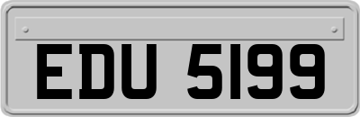 EDU5199