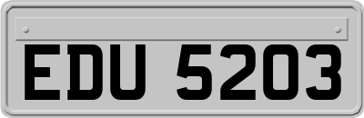 EDU5203