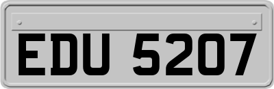 EDU5207
