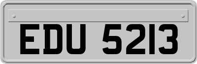 EDU5213