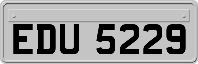 EDU5229