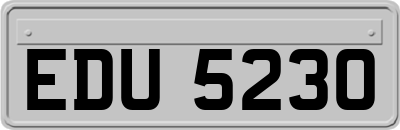 EDU5230