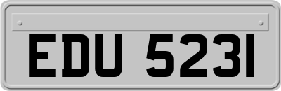 EDU5231