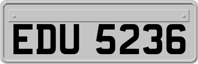 EDU5236