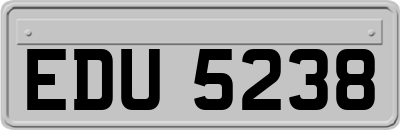 EDU5238