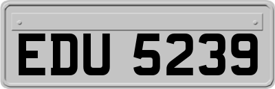 EDU5239