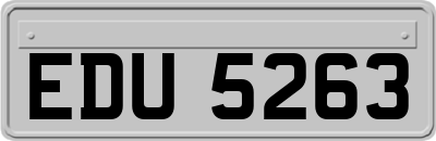 EDU5263
