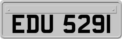 EDU5291