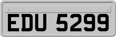 EDU5299