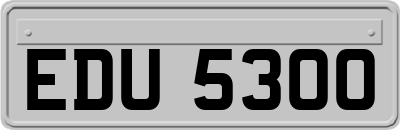 EDU5300