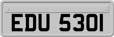 EDU5301