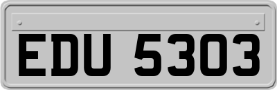EDU5303